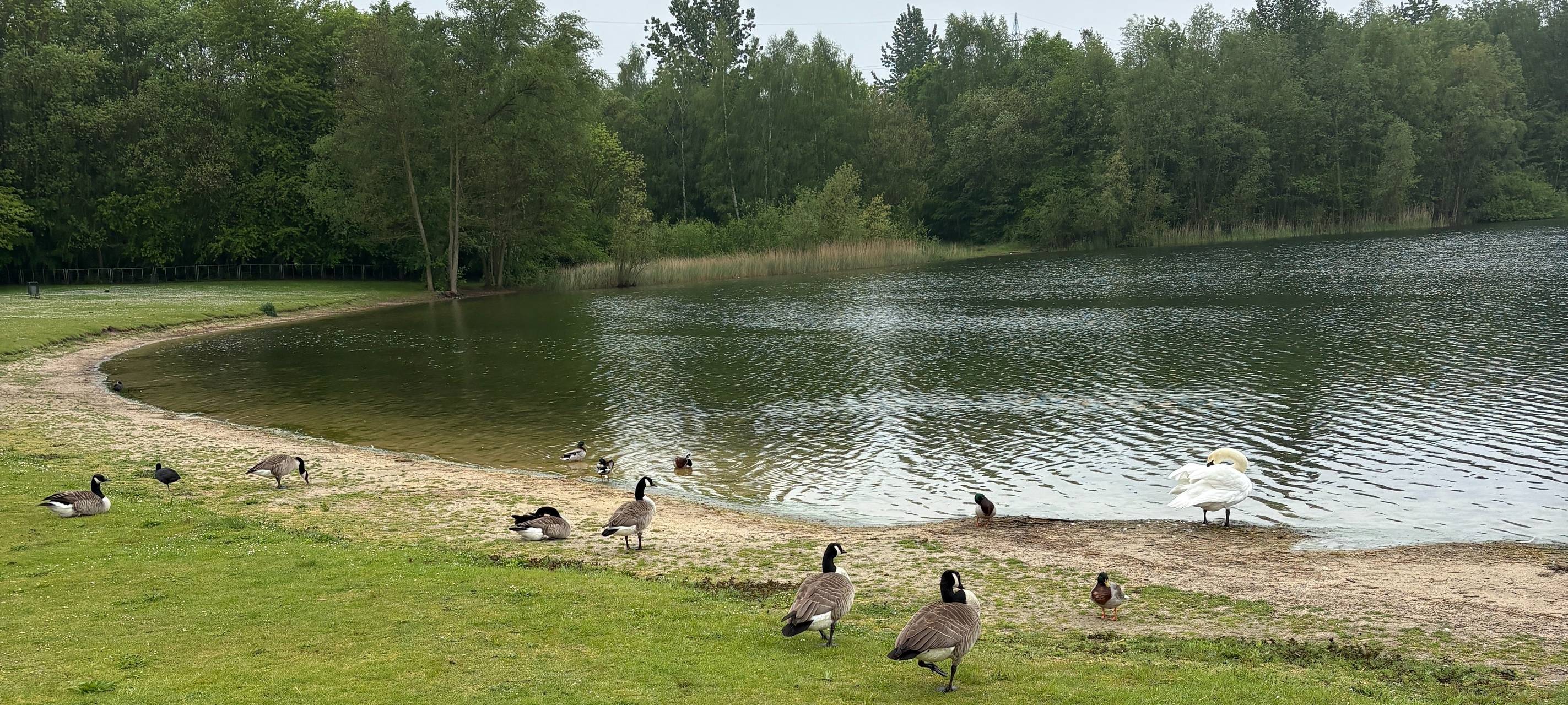 Vorsicht beim Baden im Horstmarer See in Lünen?